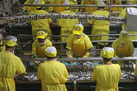 Four decades of catching and canning: The secret to .